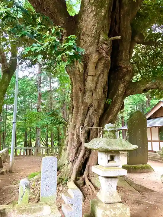 雨引千勝神社(茨城県)