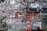 川越八幡宮の{uncategorized: "未分類", other: "その他", undefined: "問題あり", building: "その他建物", grave: "お墓", sacred_gate: "鳥居", guardian: "狛犬", statue: "像", buddha: "仏像", history: "歴史", nature: "自然", garden: "庭園", animal: "動物", pagoda: "塔", temizu: "手水舎", mountain_gate: "山門・神門", sanctuary: "本殿・本堂", subordinate: "末社・摂社", art: "芸術", scenery: "景色", jizo: "地蔵", ema: "絵馬", goshuin: "御朱印", omikuji: "おみくじ", items: "授与品その他", amulet: "お守り", goshuincho: "御朱印帳", eats: "食事", festival: "お祭り", votive_dance: "神楽", shichigosan: "七五三参", wedding: "結婚式", experience: "体験その他", initially: "初詣", around: "周辺", anti_infection: "感染症対策"}