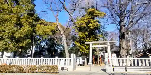 氷川神社(東京都)