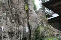 鹿島大神宮の自然