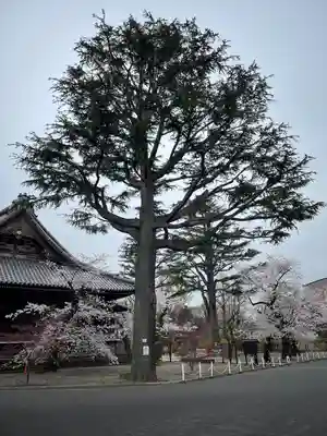 寛永寺(根本中堂)(東京都)