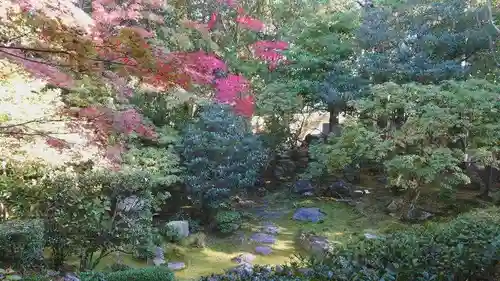 桂春院の庭園