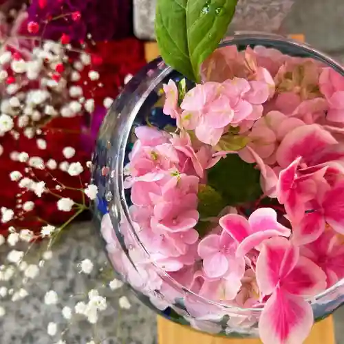 札幌諏訪神社の芸術