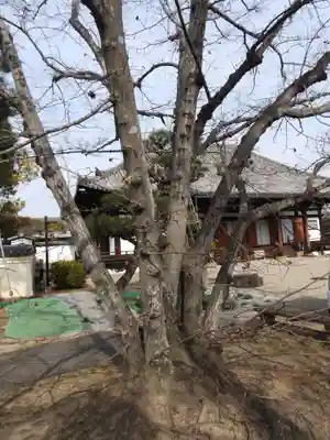 法華寺(奈良県)