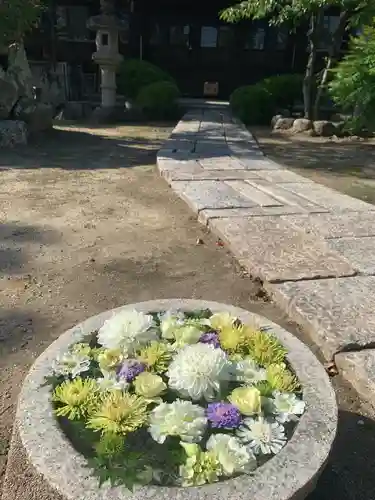 浄誓寺(大阪府)