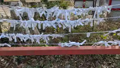 出羽神社のおみくじ