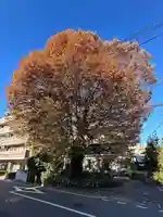 小野神社(東京都)