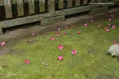 香取神宮(千葉県)