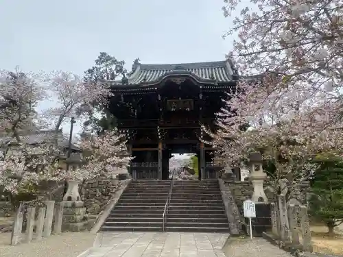 粉河寺の{uncategorized: "未分類", other: "その他", undefined: "問題あり", building: "その他建物", grave: "お墓", sacred_gate: "鳥居", guardian: "狛犬", statue: "像", buddha: "仏像", history: "歴史", nature: "自然", garden: "庭園", animal: "動物", pagoda: "塔", temizu: "手水舎", mountain_gate: "山門・神門", sanctuary: "本殿・本堂", subordinate: "末社・摂社", art: "芸術", scenery: "景色", jizo: "地蔵", ema: "絵馬", goshuin: "御朱印", omikuji: "おみくじ", items: "授与品その他", amulet: "お守り", goshuincho: "御朱印帳", eats: "食事", festival: "お祭り", votive_dance: "神楽", shichigosan: "七五三参", wedding: "結婚式", experience: "体験その他", initially: "初詣", around: "周辺", anti_infection: "感染症対策"}