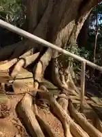 羽黒神社(千葉県)