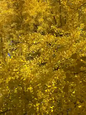 丹生酒殿神社(和歌山県)