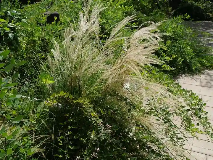 龍眼寺(萩寺)の自然