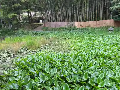 竹林寺(広島県)