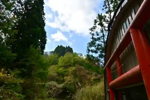 髙龍神社 中社(新潟県)