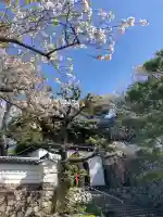 釈迦院の{uncategorized: "未分類", other: "その他", undefined: "問題あり", building: "その他建物", grave: "お墓", sacred_gate: "鳥居", guardian: "狛犬", statue: "像", buddha: "仏像", history: "歴史", nature: "自然", garden: "庭園", animal: "動物", pagoda: "塔", temizu: "手水舎", mountain_gate: "山門・神門", sanctuary: "本殿・本堂", subordinate: "末社・摂社", art: "芸術", scenery: "景色", jizo: "地蔵", ema: "絵馬", goshuin: "御朱印", omikuji: "おみくじ", items: "授与品その他", amulet: "お守り", goshuincho: "御朱印帳", eats: "食事", festival: "お祭り", votive_dance: "神楽", shichigosan: "七五三参", wedding: "結婚式", experience: "体験その他", initially: "初詣", around: "周辺", anti_infection: "感染症対策"}