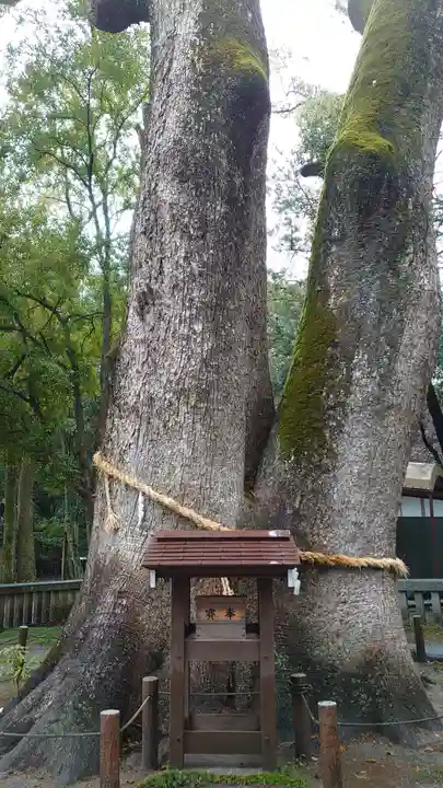 伊弉諾神宮(兵庫県)