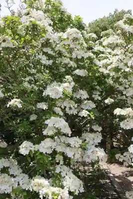 唐招提寺(奈良県)