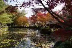 大原野神社の庭園