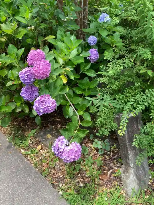 円応寺(神奈川県)