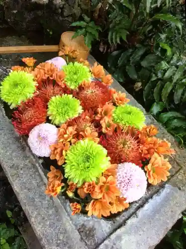 本郷氷川神社(東京都)
