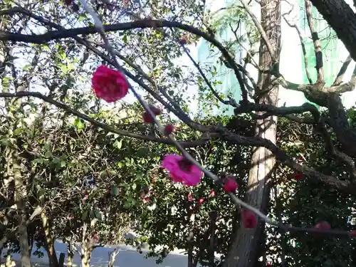 薭田神社の自然