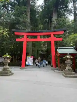 箱根神社の{uncategorized: "未分類", other: "その他", undefined: "問題あり", building: "その他建物", grave: "お墓", sacred_gate: "鳥居", guardian: "狛犬", statue: "像", buddha: "仏像", history: "歴史", nature: "自然", garden: "庭園", animal: "動物", pagoda: "塔", temizu: "手水舎", mountain_gate: "山門・神門", sanctuary: "本殿・本堂", subordinate: "末社・摂社", art: "芸術", scenery: "景色", jizo: "地蔵", ema: "絵馬", goshuin: "御朱印", omikuji: "おみくじ", items: "授与品その他", amulet: "お守り", goshuincho: "御朱印帳", eats: "食事", festival: "お祭り", votive_dance: "神楽", shichigosan: "七五三参", wedding: "結婚式", experience: "体験その他", initially: "初詣", around: "周辺", anti_infection: "感染症対策"}