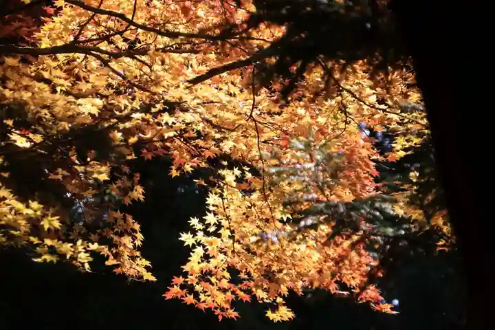 磐椅神社の自然