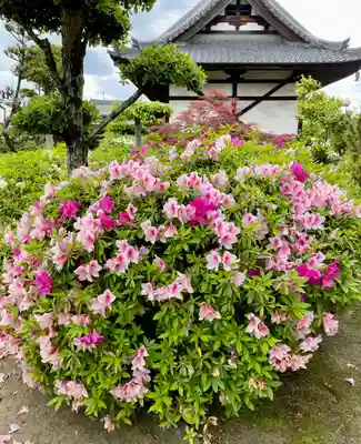 法雲寺(大阪府)