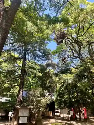 氷川女體神社(埼玉県)