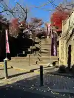 澤蔵司稲荷(慈眼院)(東京都)