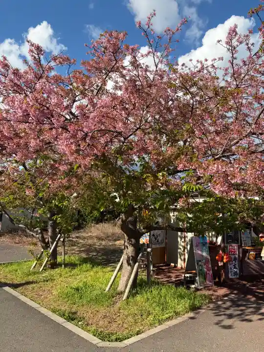 川津来宮神社の{uncategorized: "未分類", other: "その他", undefined: "問題あり", building: "その他建物", grave: "お墓", sacred_gate: "鳥居", guardian: "狛犬", statue: "像", buddha: "仏像", history: "歴史", nature: "自然", garden: "庭園", animal: "動物", pagoda: "塔", temizu: "手水舎", mountain_gate: "山門・神門", sanctuary: "本殿・本堂", subordinate: "末社・摂社", art: "芸術", scenery: "景色", jizo: "地蔵", ema: "絵馬", goshuin: "御朱印", omikuji: "おみくじ", items: "授与品その他", amulet: "お守り", goshuincho: "御朱印帳", eats: "食事", festival: "お祭り", votive_dance: "神楽", shichigosan: "七五三参", wedding: "結婚式", experience: "体験その他", initially: "初詣", around: "周辺", anti_infection: "感染症対策"}