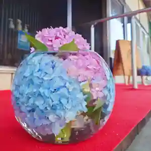 壽徳寺 じゅとくじの庭園(2021年07月21日(水) 12時42分13秒投稿)