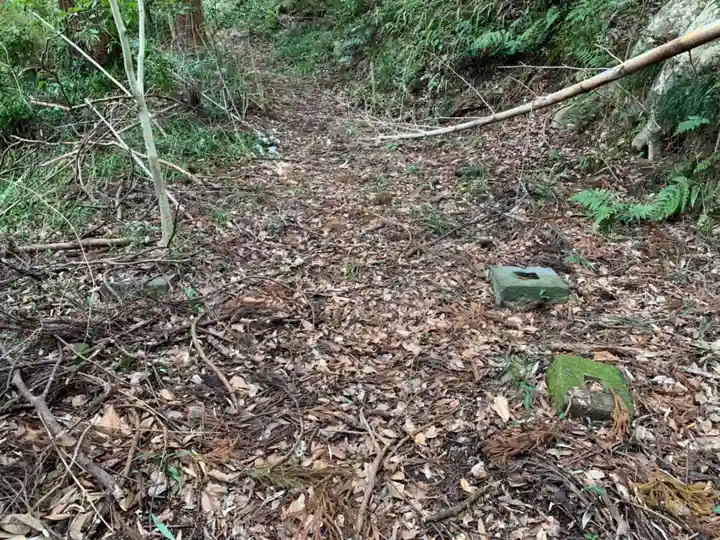 日枝神社の自然