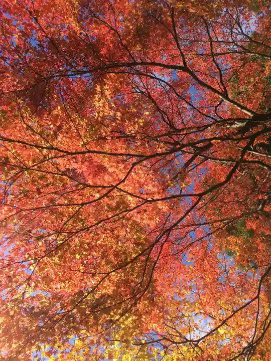 播州清水寺の自然