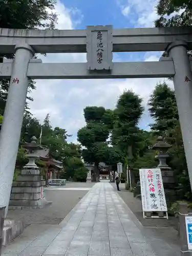 亀ケ池八幡宮の鳥居