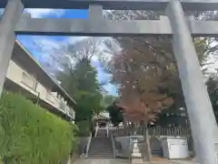 北澤八幡神社の鳥居