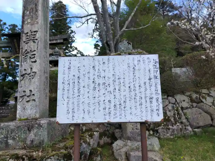 與能神社の{uncategorized: "未分類", other: "その他", undefined: "問題あり", building: "その他建物", grave: "お墓", sacred_gate: "鳥居", guardian: "狛犬", statue: "像", buddha: "仏像", history: "歴史", nature: "自然", garden: "庭園", animal: "動物", pagoda: "塔", temizu: "手水舎", mountain_gate: "山門・神門", sanctuary: "本殿・本堂", subordinate: "末社・摂社", art: "芸術", scenery: "景色", jizo: "地蔵", ema: "絵馬", goshuin: "御朱印", omikuji: "おみくじ", items: "授与品その他", amulet: "お守り", goshuincho: "御朱印帳", eats: "食事", festival: "お祭り", votive_dance: "神楽", shichigosan: "七五三参", wedding: "結婚式", experience: "体験その他", initially: "初詣", around: "周辺", anti_infection: "感染症対策"}