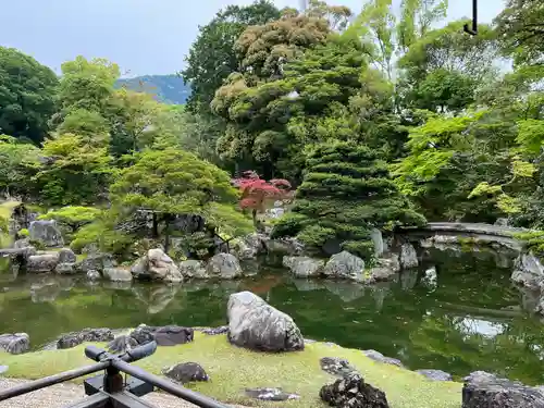 醍醐寺(京都府)