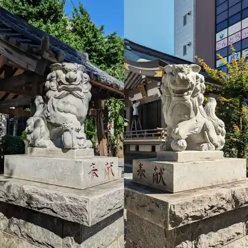 柏神社の狛犬