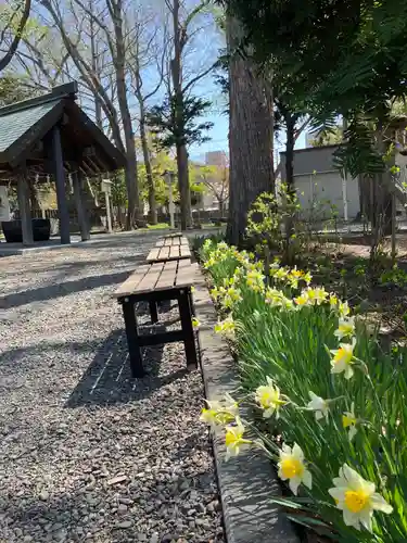 新琴似神社の庭園