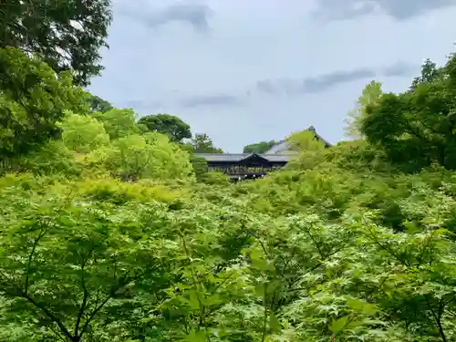 東福禅寺（東福寺）の景色