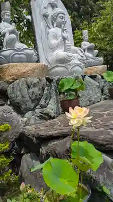 正法寺(京都府)