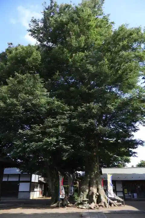 八枝神社(埼玉県)