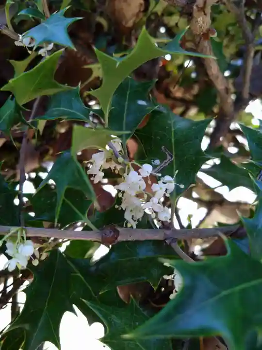 住吉神社(福岡県)
