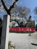 秩父今宮神社(埼玉県)