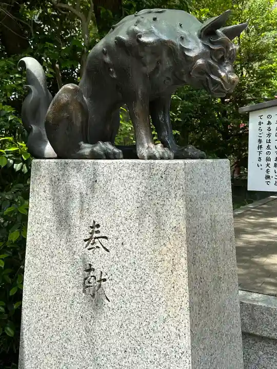 稲毛神社の狛犬