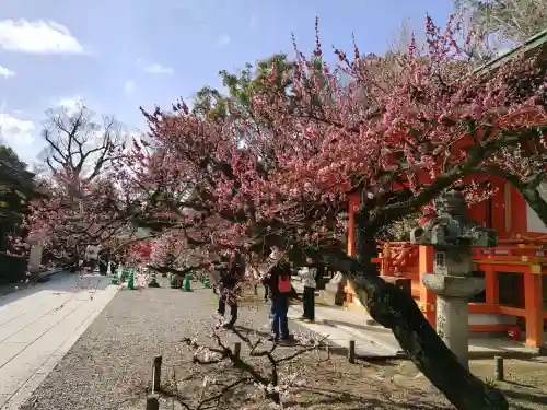 北野天満宮の{uncategorized: "未分類", other: "その他", undefined: "問題あり", building: "その他建物", grave: "お墓", sacred_gate: "鳥居", guardian: "狛犬", statue: "像", buddha: "仏像", history: "歴史", nature: "自然", garden: "庭園", animal: "動物", pagoda: "塔", temizu: "手水舎", mountain_gate: "山門・神門", sanctuary: "本殿・本堂", subordinate: "末社・摂社", art: "芸術", scenery: "景色", jizo: "地蔵", ema: "絵馬", goshuin: "御朱印", omikuji: "おみくじ", items: "授与品その他", amulet: "お守り", goshuincho: "御朱印帳", eats: "食事", festival: "お祭り", votive_dance: "神楽", shichigosan: "七五三参", wedding: "結婚式", experience: "体験その他", initially: "初詣", around: "周辺", anti_infection: "感染症対策"}