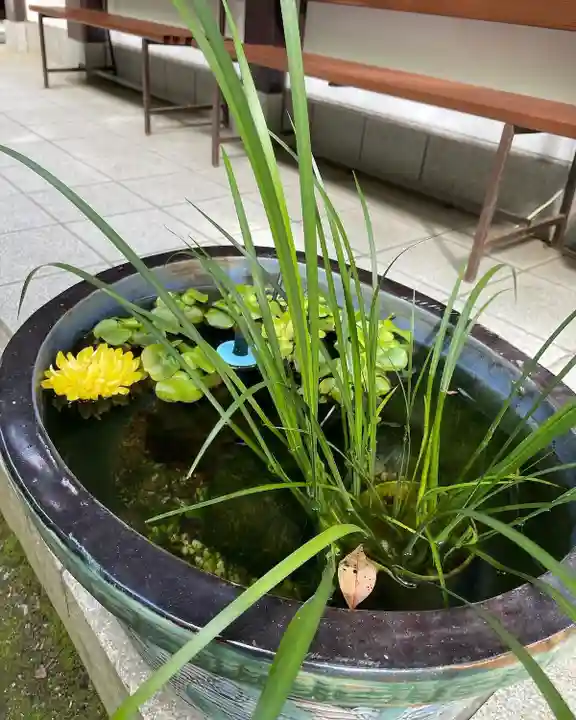 鞍馬寺(京都府)