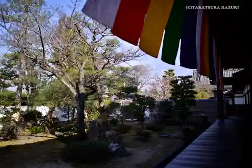 根来寺 智積院の庭園