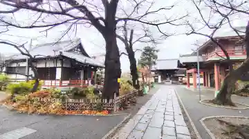 蓮華寺の{uncategorized: "未分類", other: "その他", undefined: "問題あり", building: "その他建物", grave: "お墓", sacred_gate: "鳥居", guardian: "狛犬", statue: "像", buddha: "仏像", history: "歴史", nature: "自然", garden: "庭園", animal: "動物", pagoda: "塔", temizu: "手水舎", mountain_gate: "山門・神門", sanctuary: "本殿・本堂", subordinate: "末社・摂社", art: "芸術", scenery: "景色", jizo: "地蔵", ema: "絵馬", goshuin: "御朱印", omikuji: "おみくじ", items: "授与品その他", amulet: "お守り", goshuincho: "御朱印帳", eats: "食事", festival: "お祭り", votive_dance: "神楽", shichigosan: "七五三参", wedding: "結婚式", experience: "体験その他", initially: "初詣", around: "周辺", anti_infection: "感染症対策"}